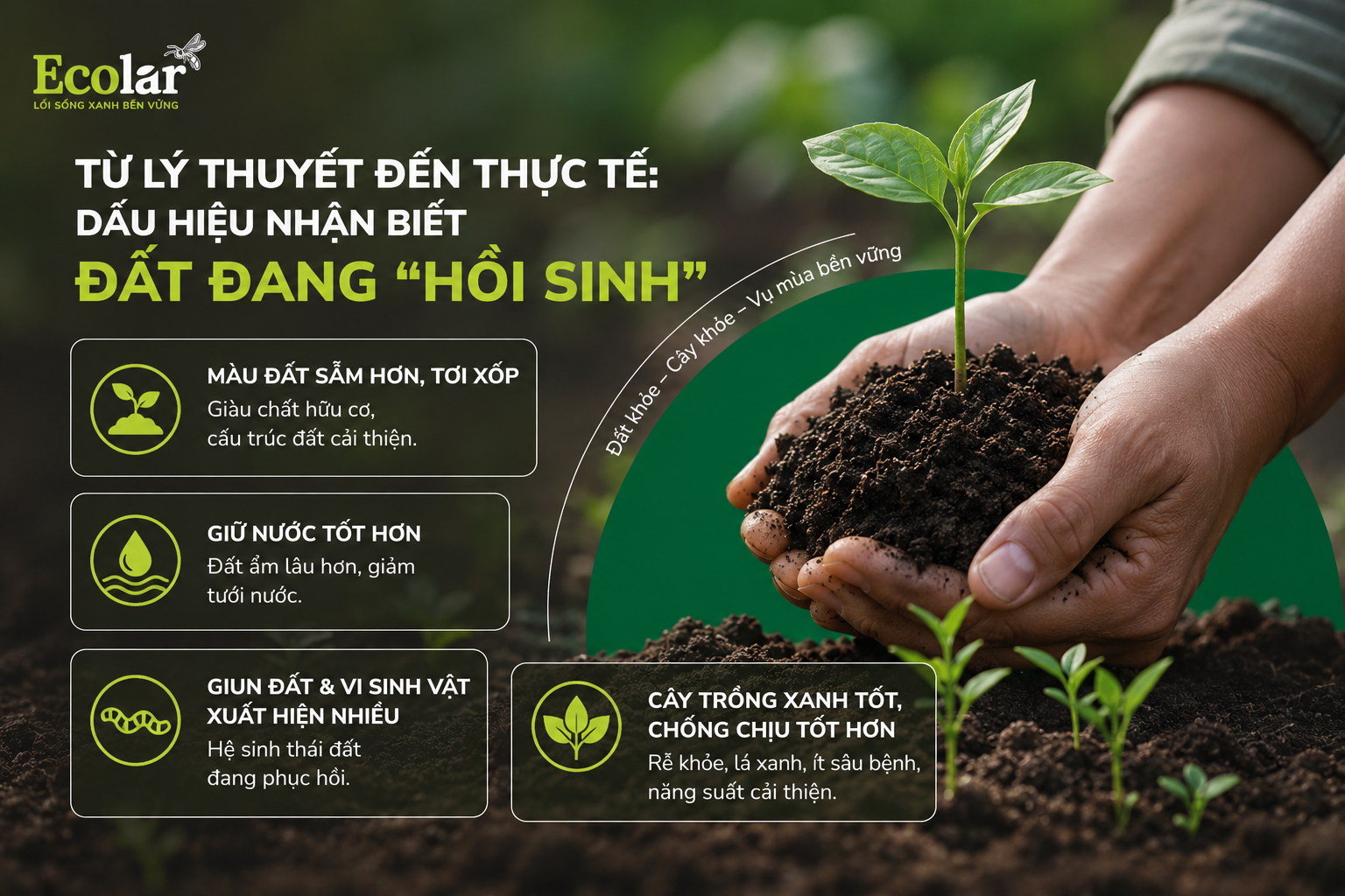Từ Lý Thuyết Đến Thực Tế: Dấu Hiệu Nhận Biết Đất Đang 'Hồi Sinh'