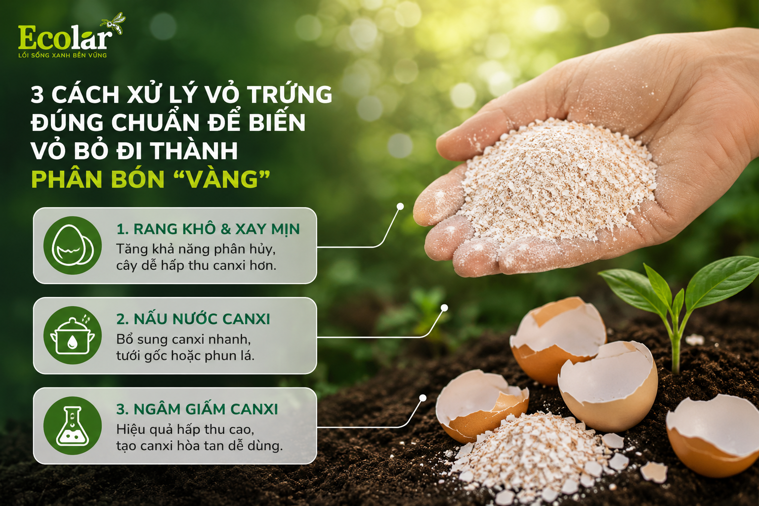 3 Cách Xử Lý Vỏ Trứng Đúng Chuẩn Để Biến Vỏ Bỏ Đi Thành Phân Bón 'Vàng'