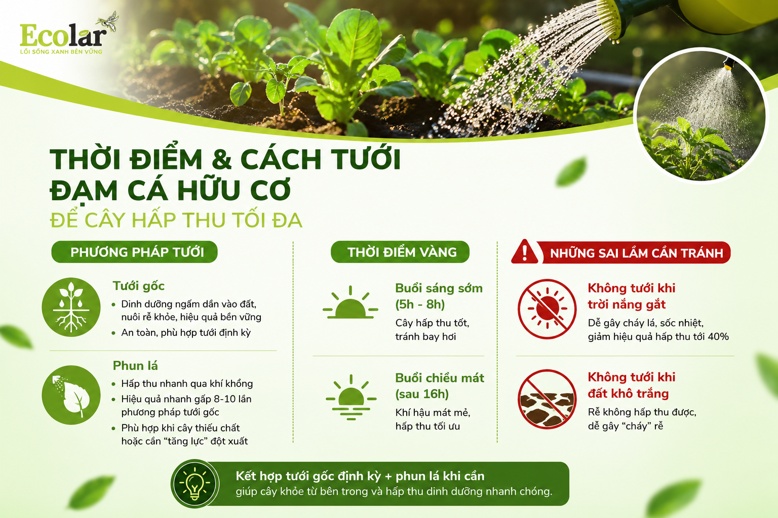 Liều Lượng & Tần Suất: 