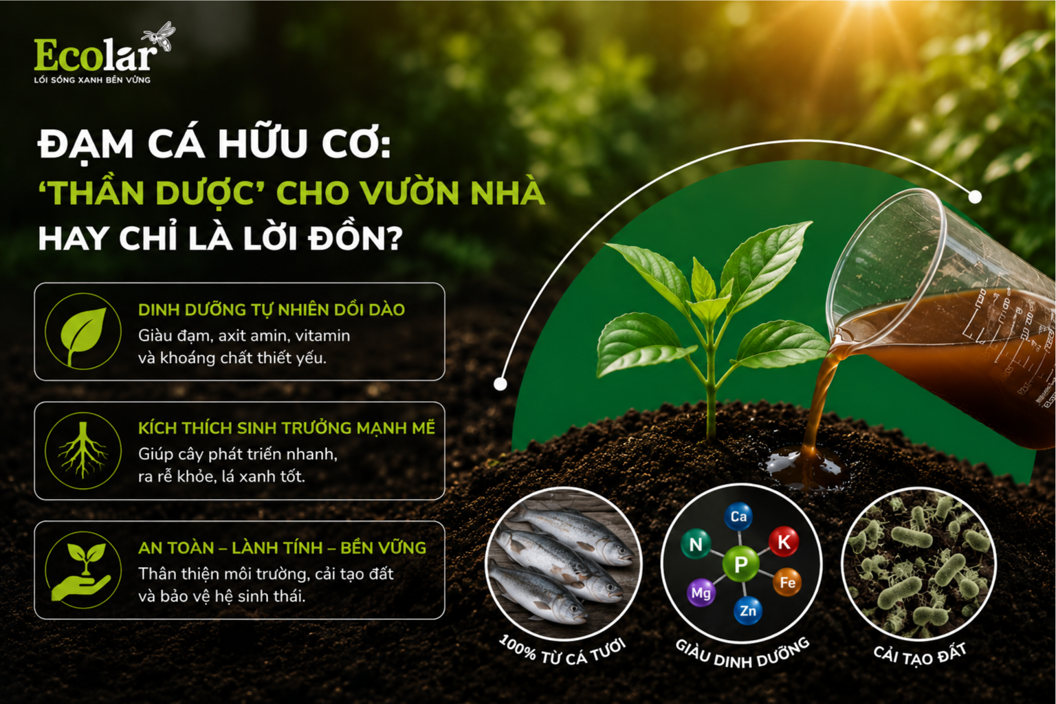 Đạm Cá Hữu Cơ: 'Thần Dược' Cho Vườn Nhà Hay Chỉ Là Lời Đồn?