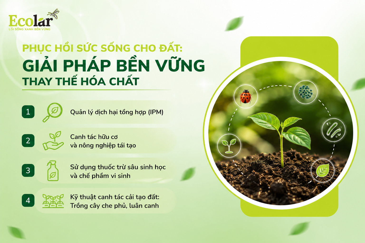 Phục Hồi Sức Sống Cho Đất: Giải Pháp Bền Vững Thay Thế Hóa Chất