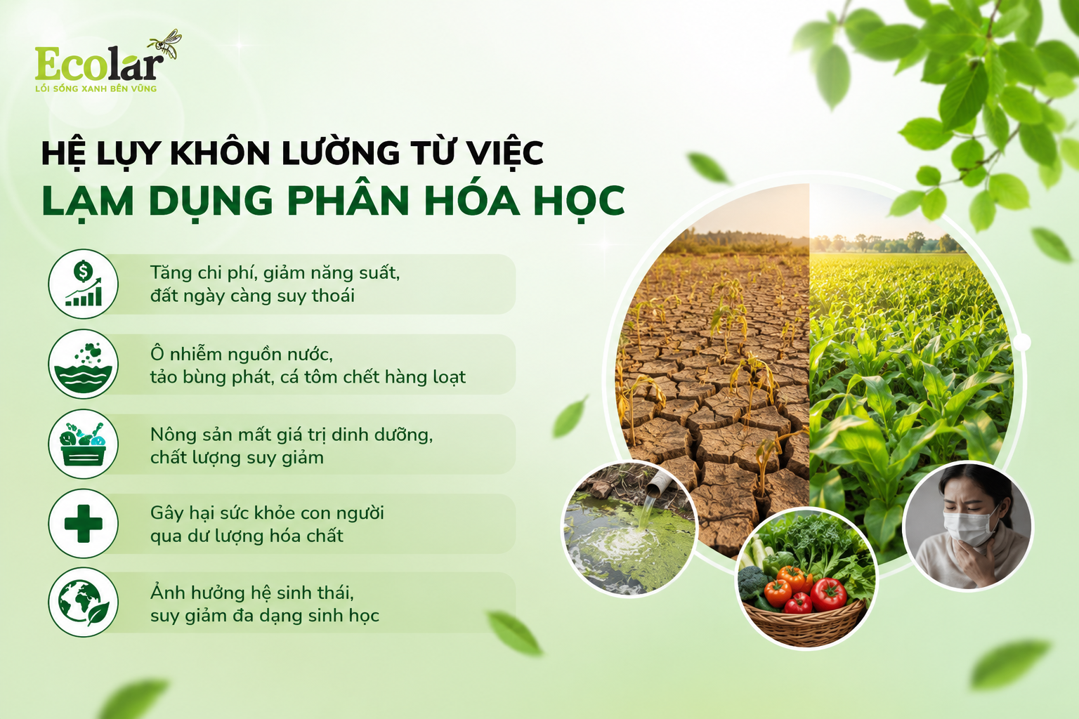 Bóc Trần Cơ Chế Gây Hại: Vì Sao Phân Hóa Học Hủy Hoại Đất?