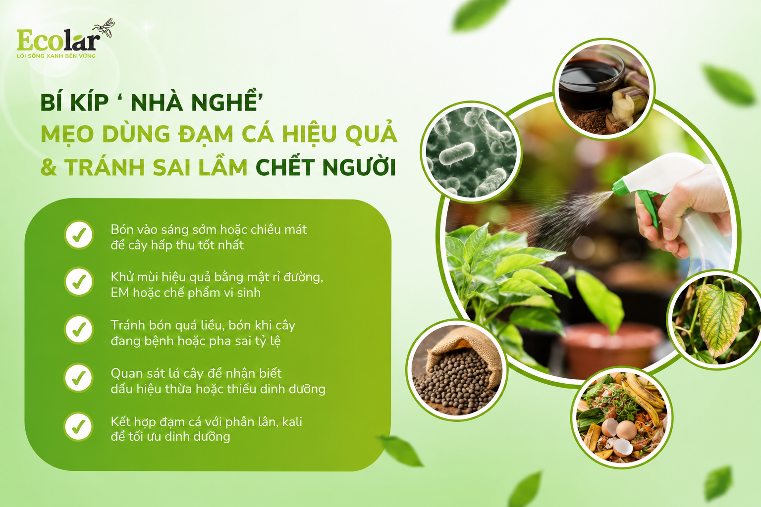 Bí Kíp 'Nhà Nghề': Mẹo Dùng Đạm Cá Hiệu Quả & Tránh Sai Lầm Chết Người