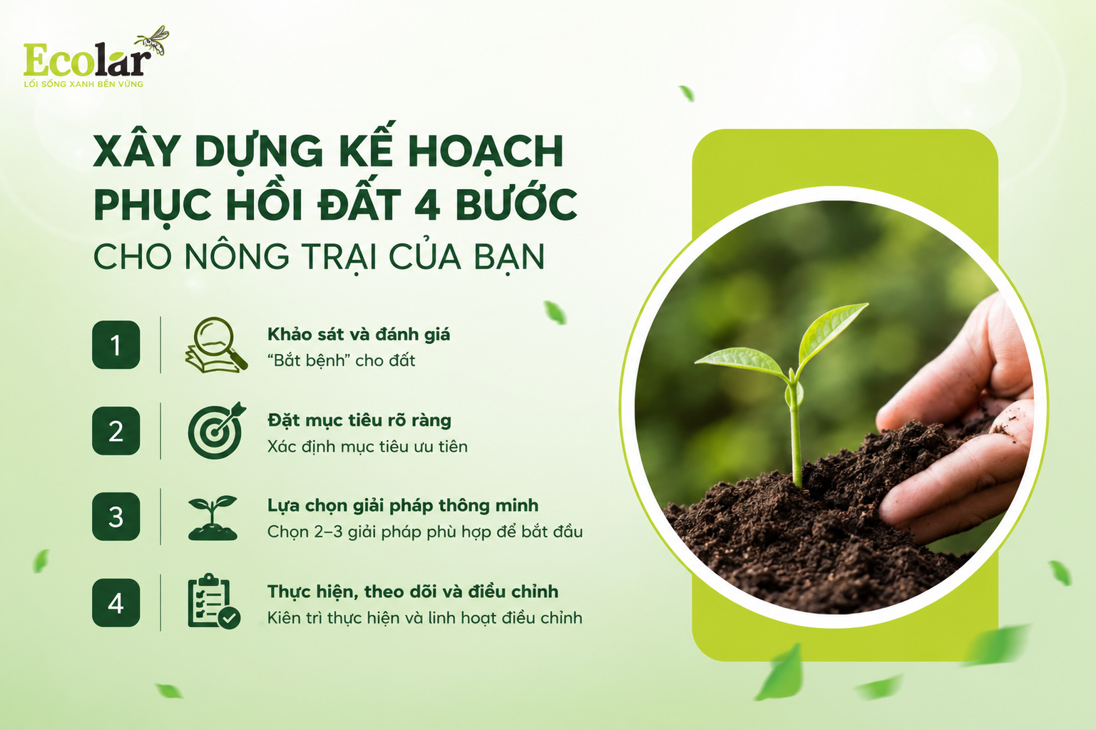 Bắt Đầu Từ Đâu? Xây Dựng Kế Hoạch Phục Hồi Đất 4 Bước Cho Nông Trại Của Bạn