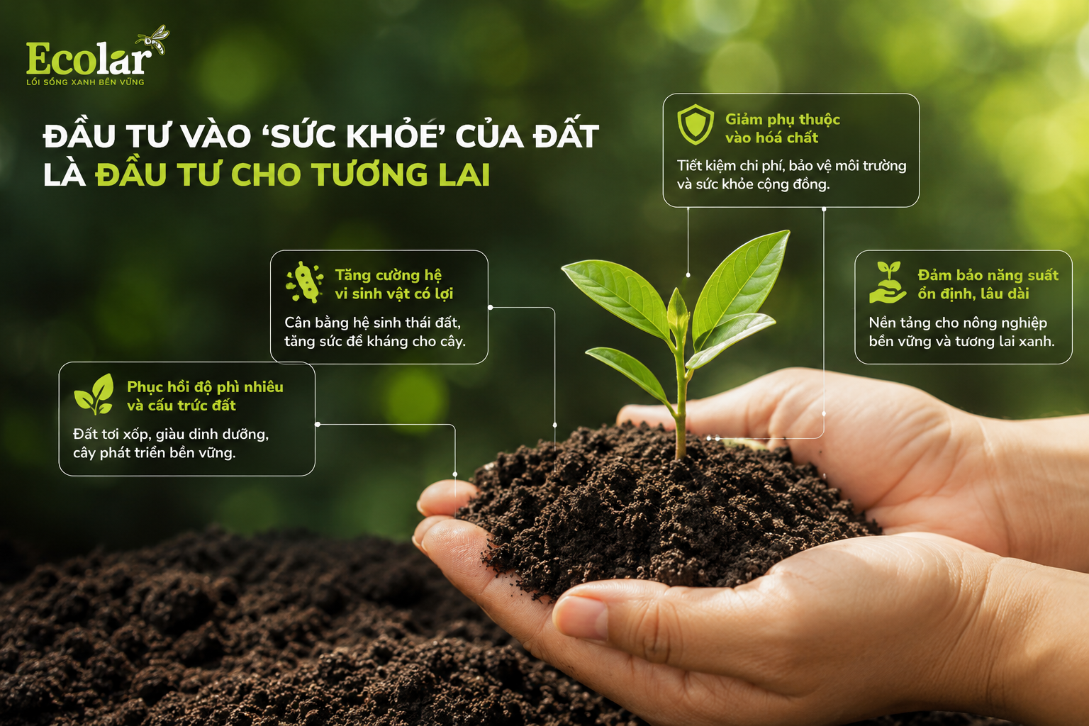 Kết Luận: Đầu Tư Vào 'Sức Khỏe' Của Đất Là Đầu Tư Cho Tương Lai