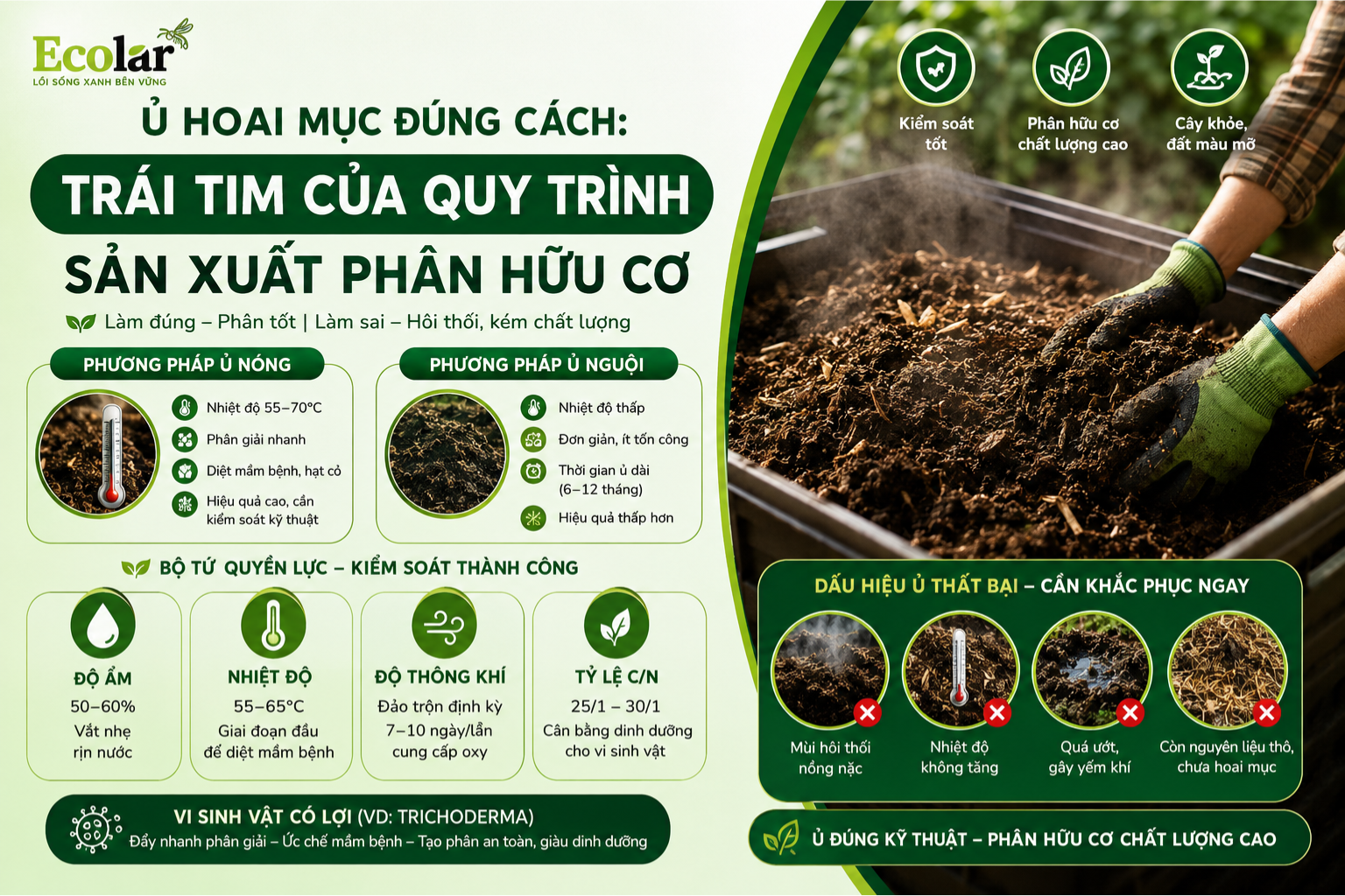 Giai Đoạn 1: Lựa Chọn Nguyên Liệu Đầu Vào - Nền Móng Của Chất Lượng