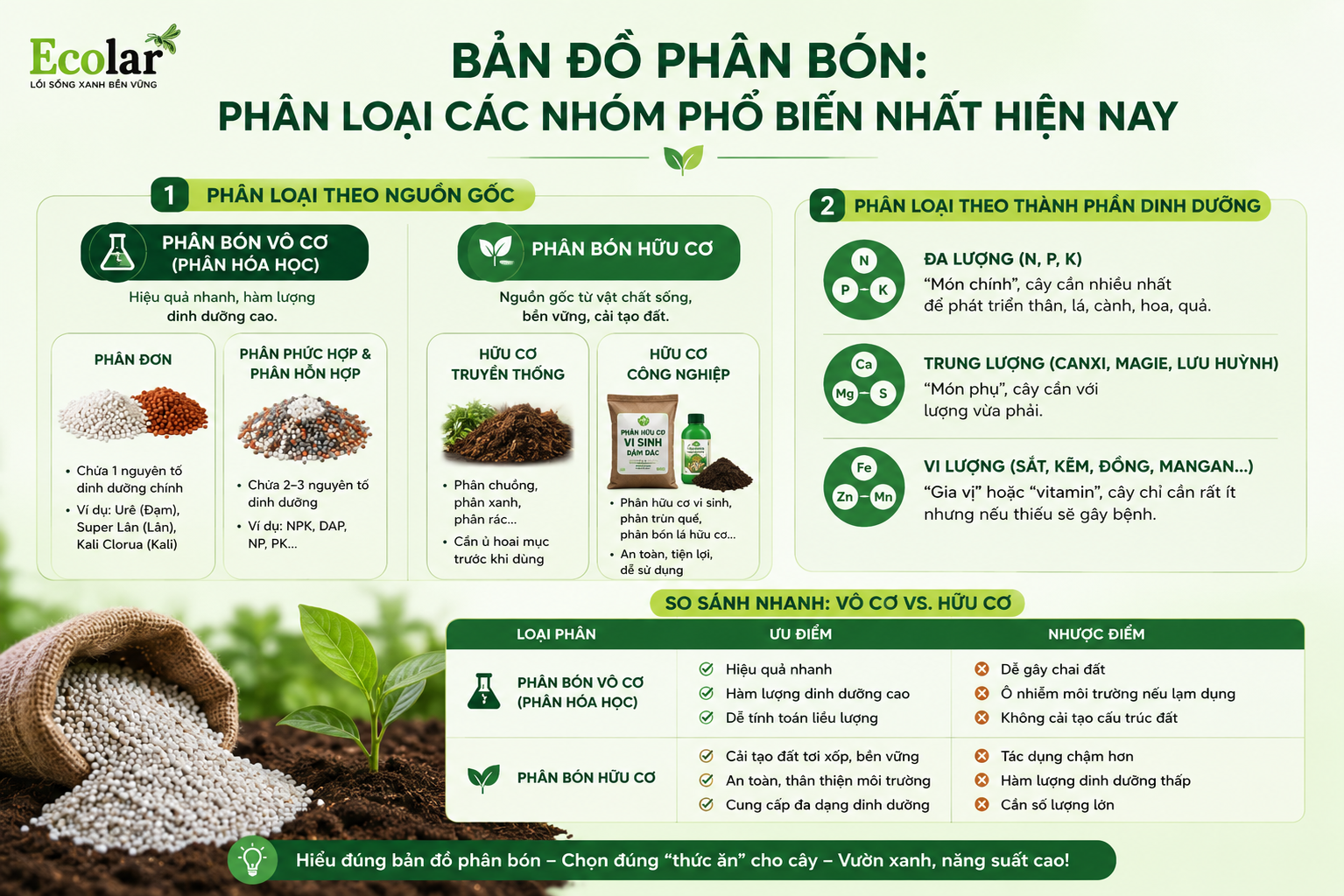 Bản Đồ Phân Bón: Phân Loại Các Nhóm Phổ Biến Nhất Hiện Nay