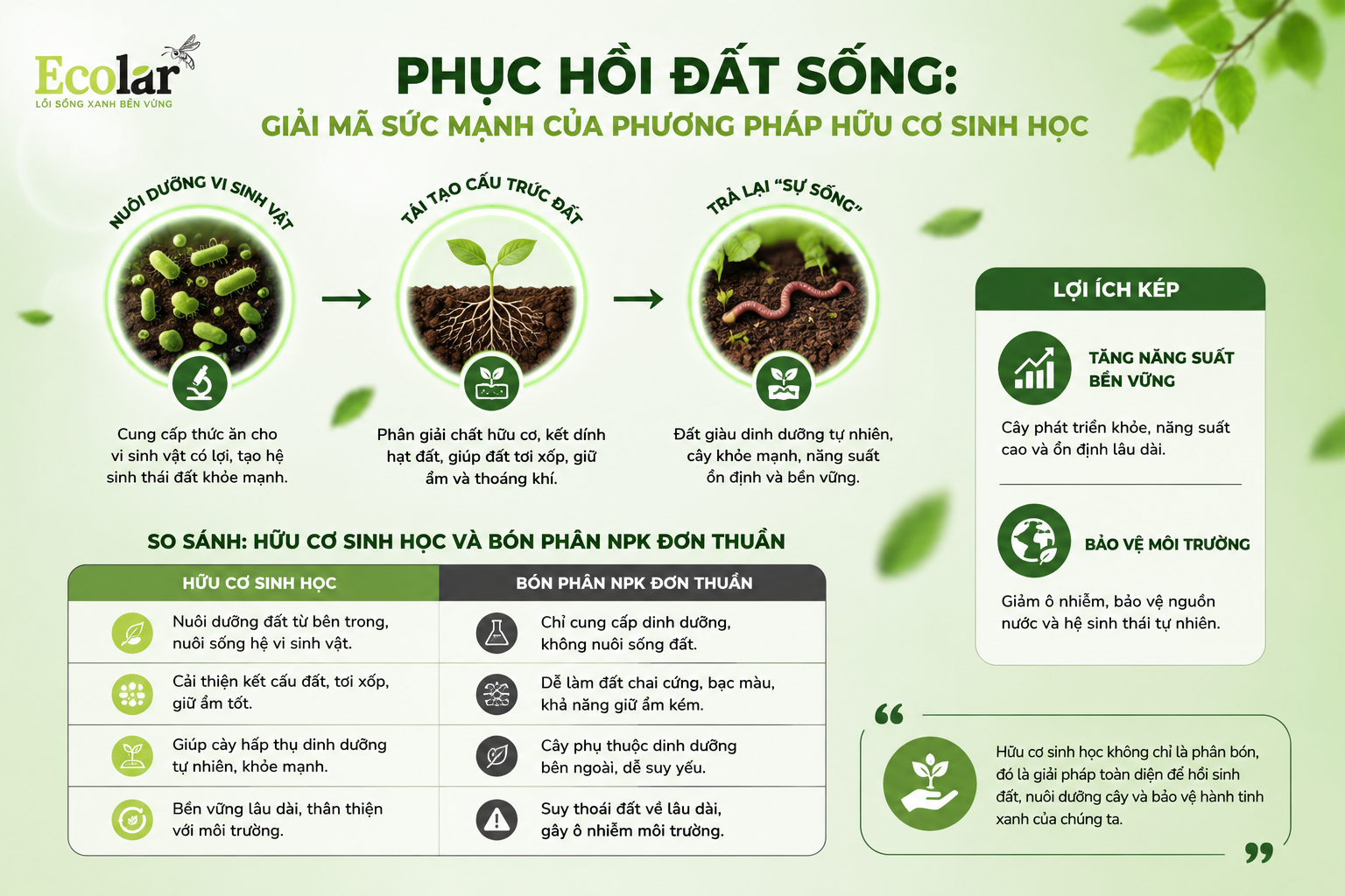 Phục hồi đất sống: Giải mã sức mạnh của phương pháp hữu cơ sinh học