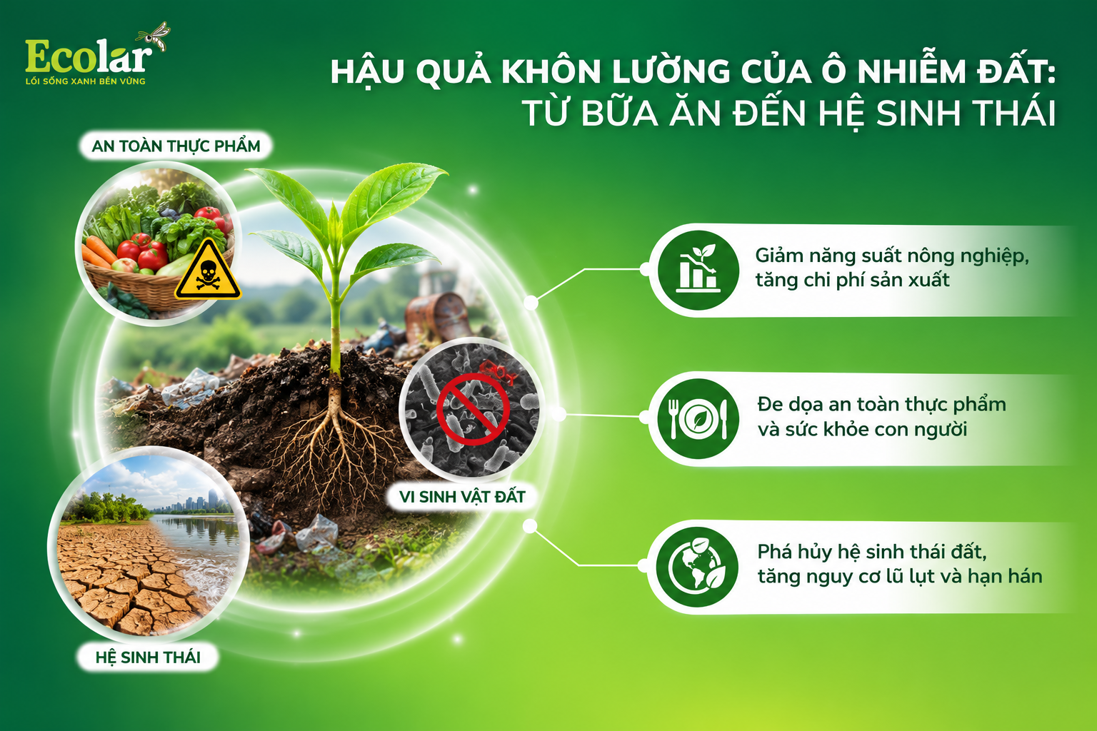 Hậu Quả Khôn Lường Của Ô Nhiễm Đất: Từ Bữa Ăn Đến Hệ Sinh Thái