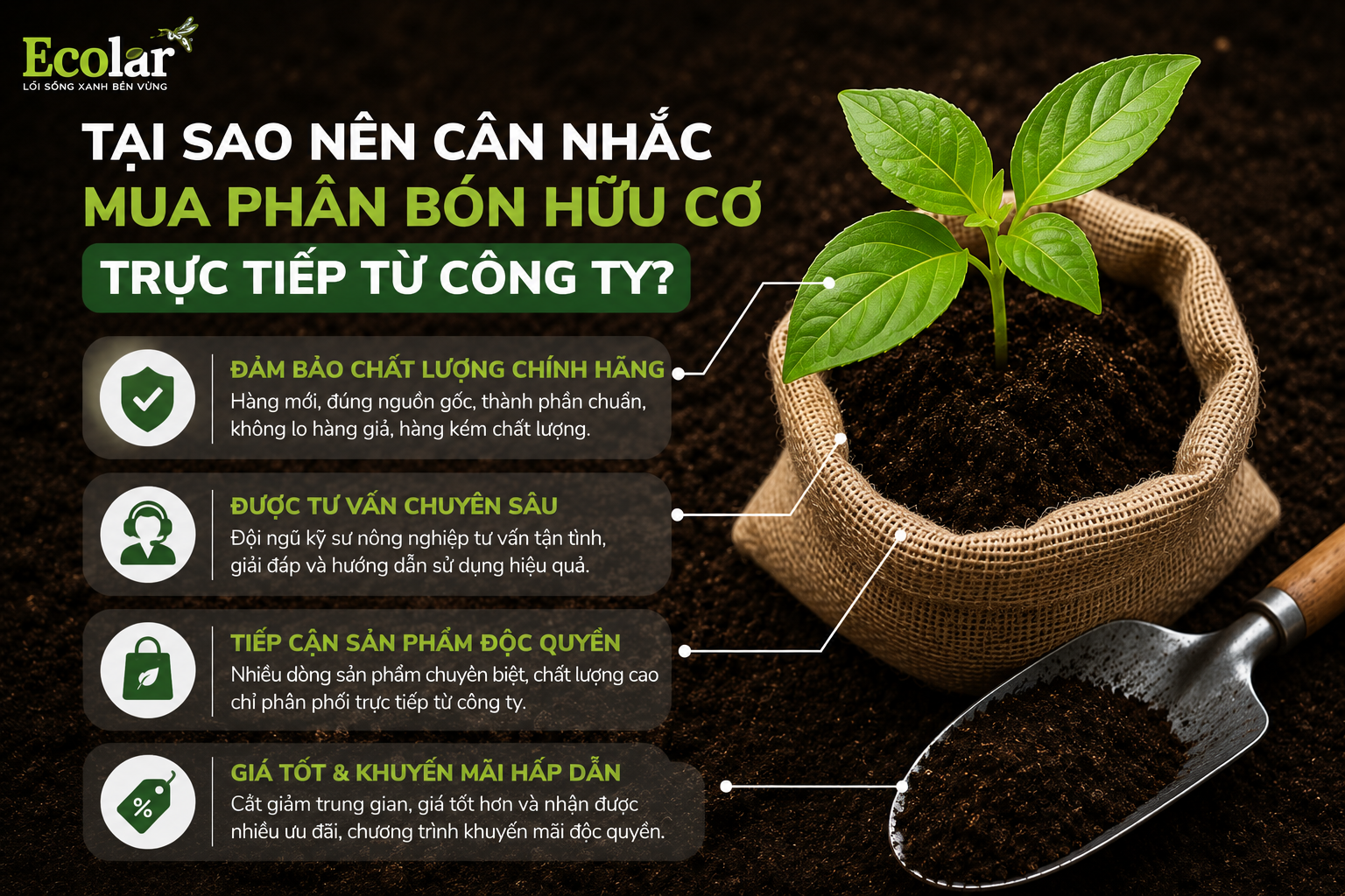 Tại Sao Nên Cân Nhắc Mua Phân Bón Hữu Cơ Trực Tiếp Từ Công Ty?
