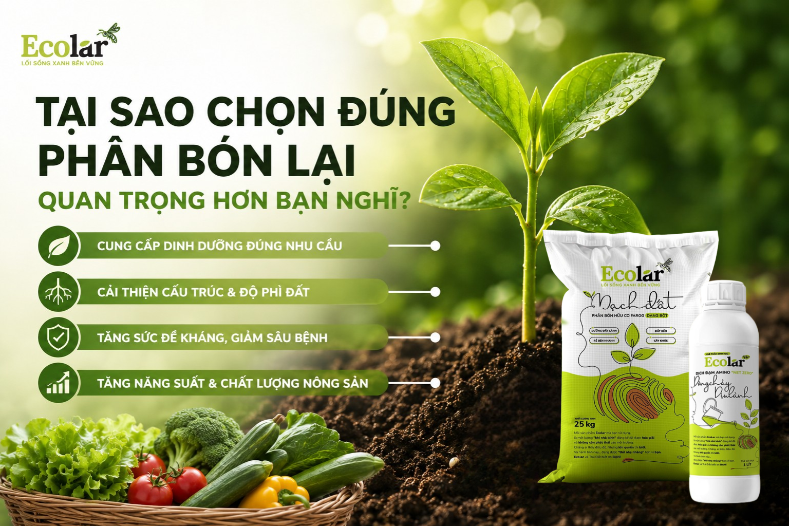 Tại Sao Chọn Đúng Phân Bón Lại Quan Trọng Hơn Bạn Nghĩ?