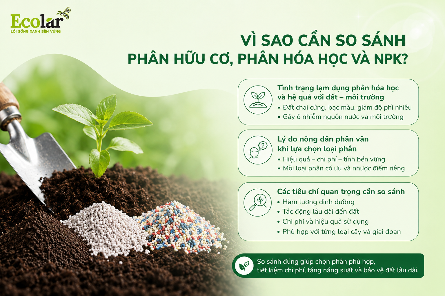 Vì Sao Cần So Sánh Phân Hữu Cơ, Phân Hóa Học Và NPK?