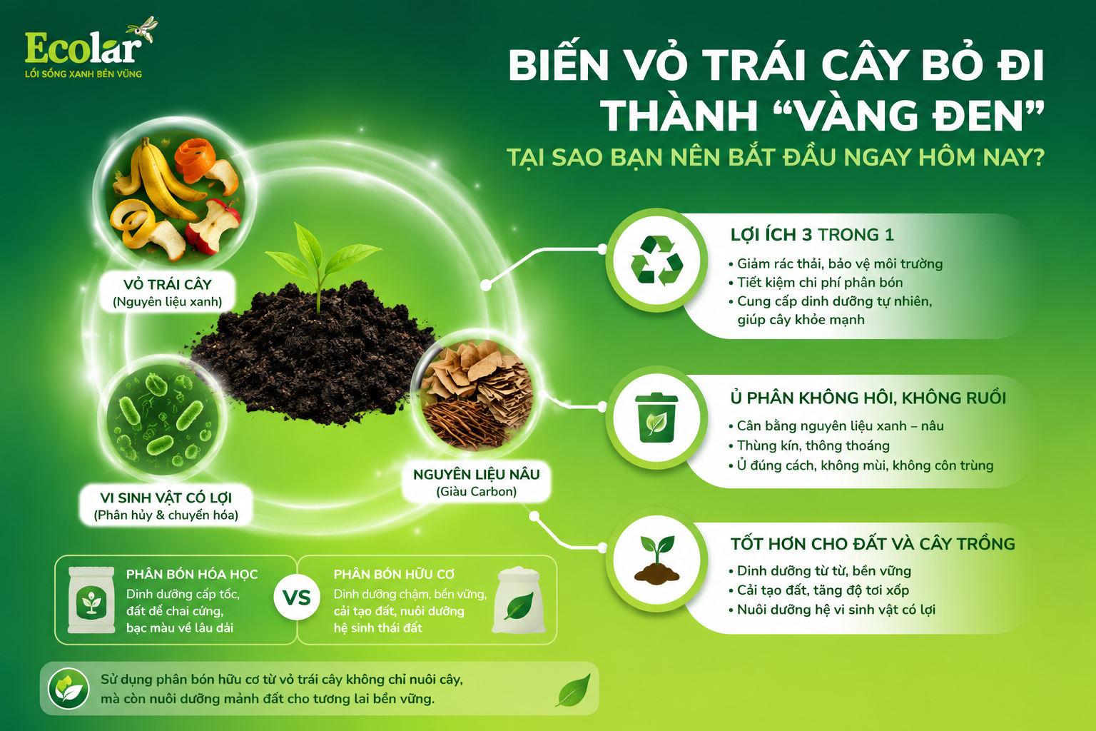 Biến Vỏ Trái Cây Bỏ Đi Thành 'Vàng Đen': Tại Sao Bạn Nên Bắt Đầu Ngay Hôm Nay?