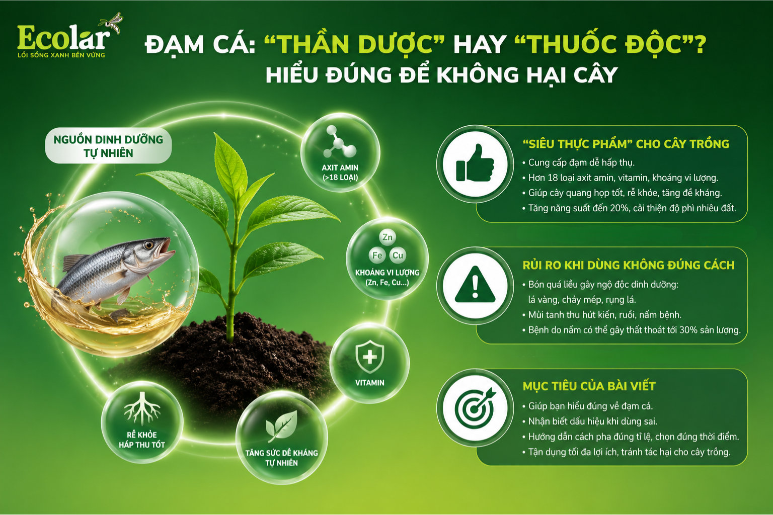 Đạm Cá: 'Thần Dược' Hay 'Thuốc Độc'? Hiểu Đúng Để Không Hại Cây