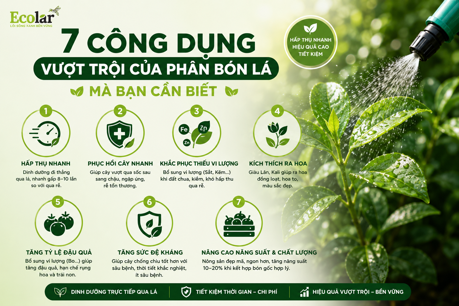 7 Công Dụng Vượt Trội Của Phân Bón Lá Mà Bạn Cần Biết