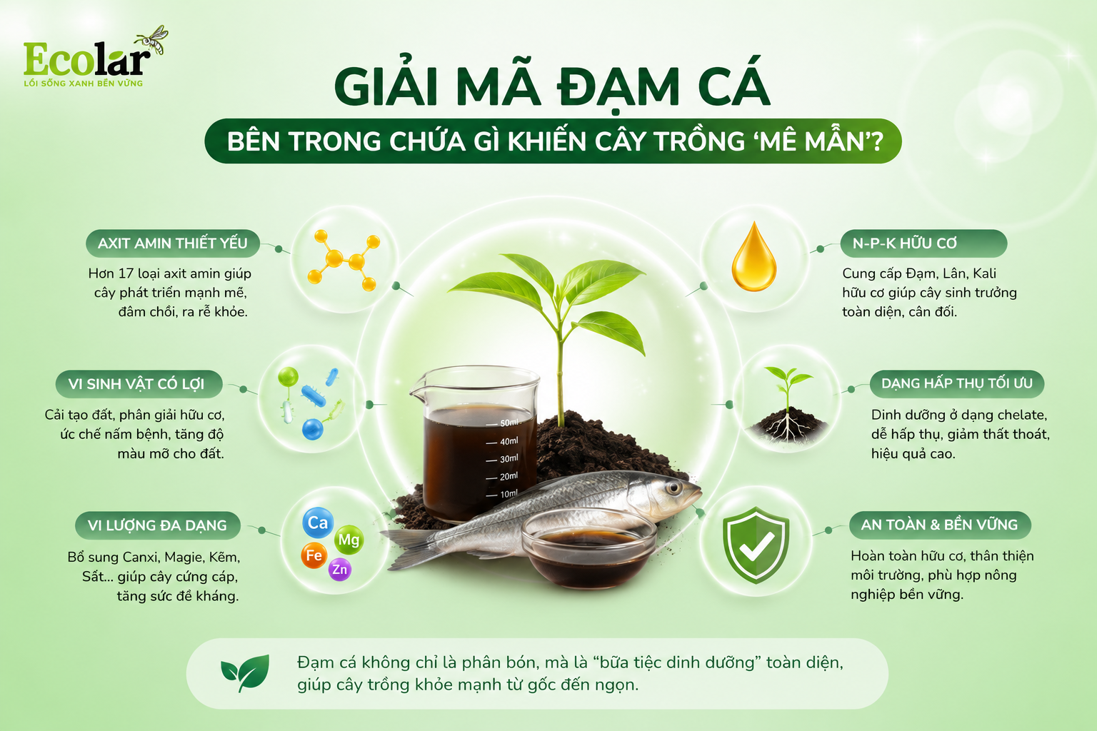 Giải Mã Đạm Cá: Bên Trong Chứa Gì Khiến Cây Trồng 'Mê Mẩn'?