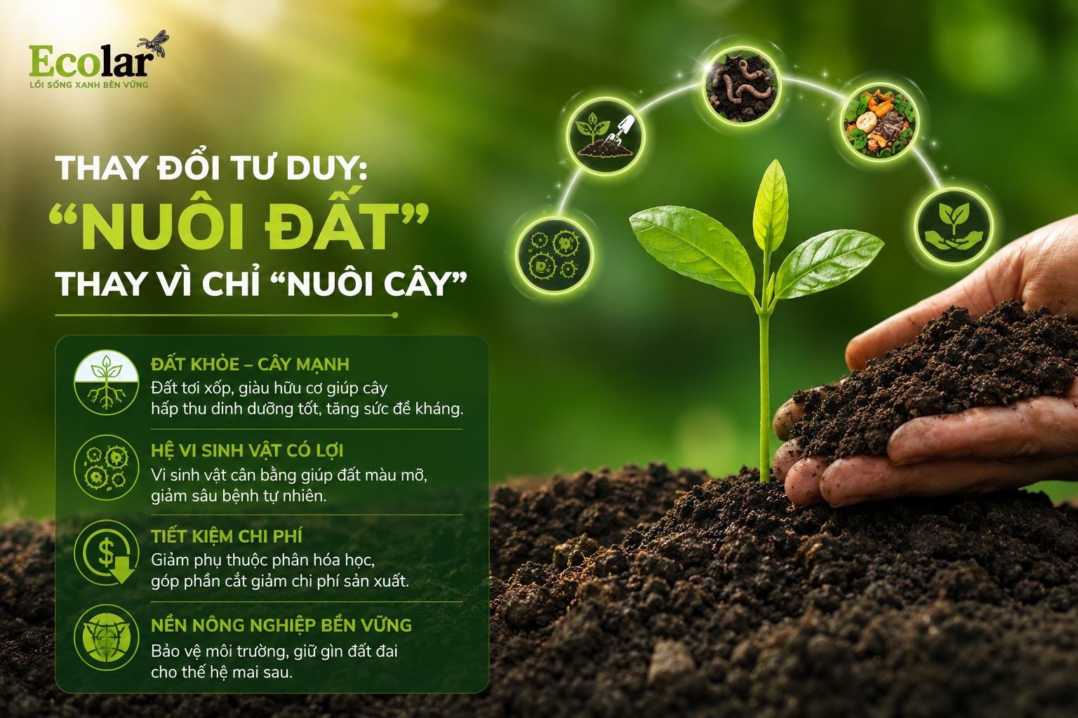 Kết Luận: Thay Đổi Tư Duy - 'Nuôi Đất' Thay Vì Chỉ 'Nuôi Cây'