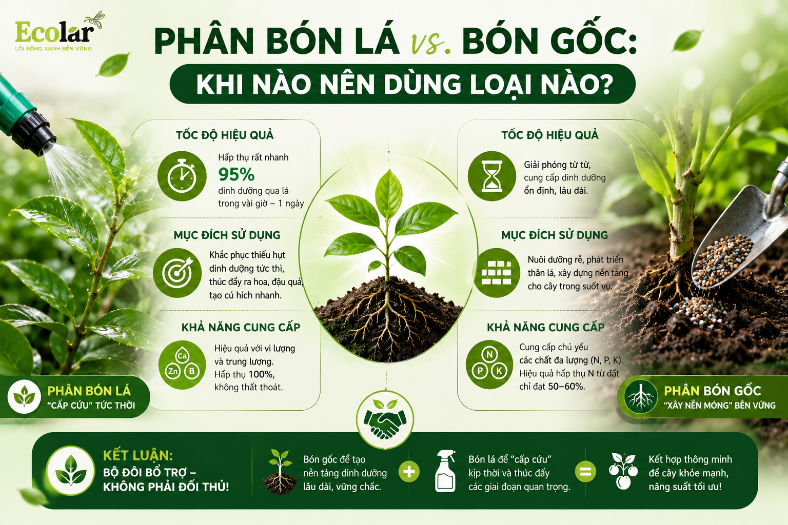 Phân Bón Lá vs. Bón Gốc: Khi Nào Nên Dùng Loại Nào?