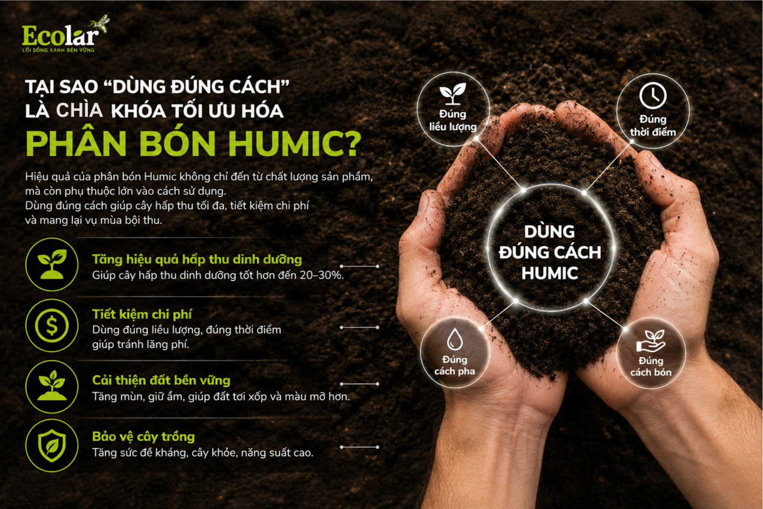 Tại Sao 'Dùng Đúng Cách' Là Chìa Khóa Tối Ưu Hóa Phân Bón Humic?