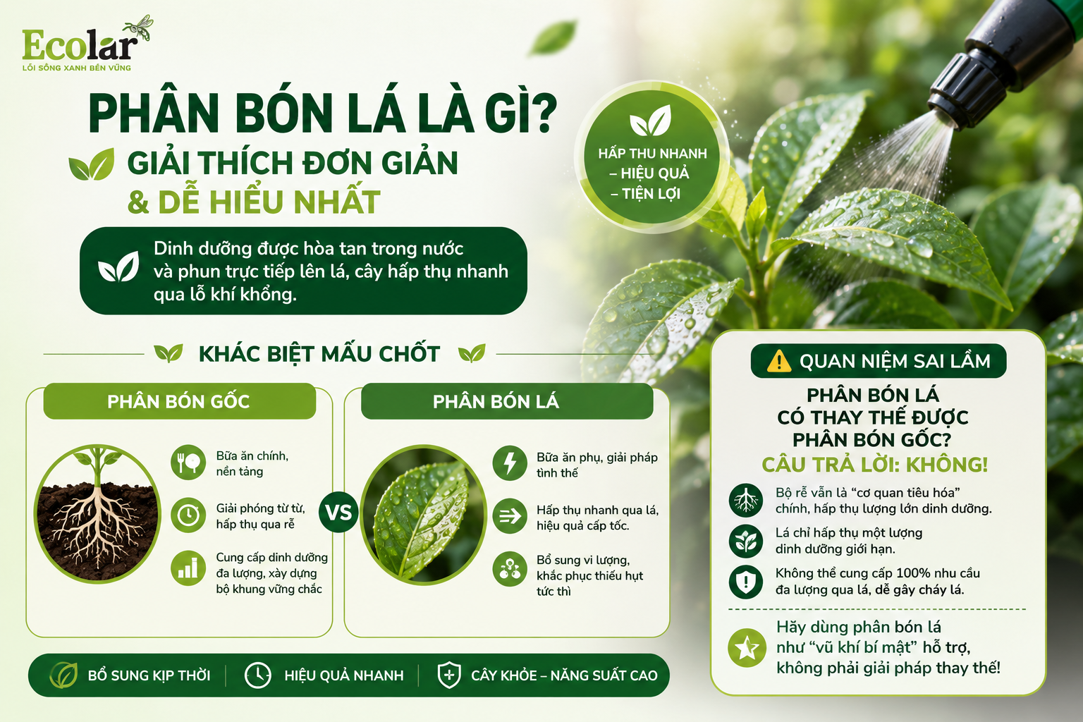 Phân Bón Lá Là Gì? Giải Thích Đơn Giản & Dễ Hiểu Nhất