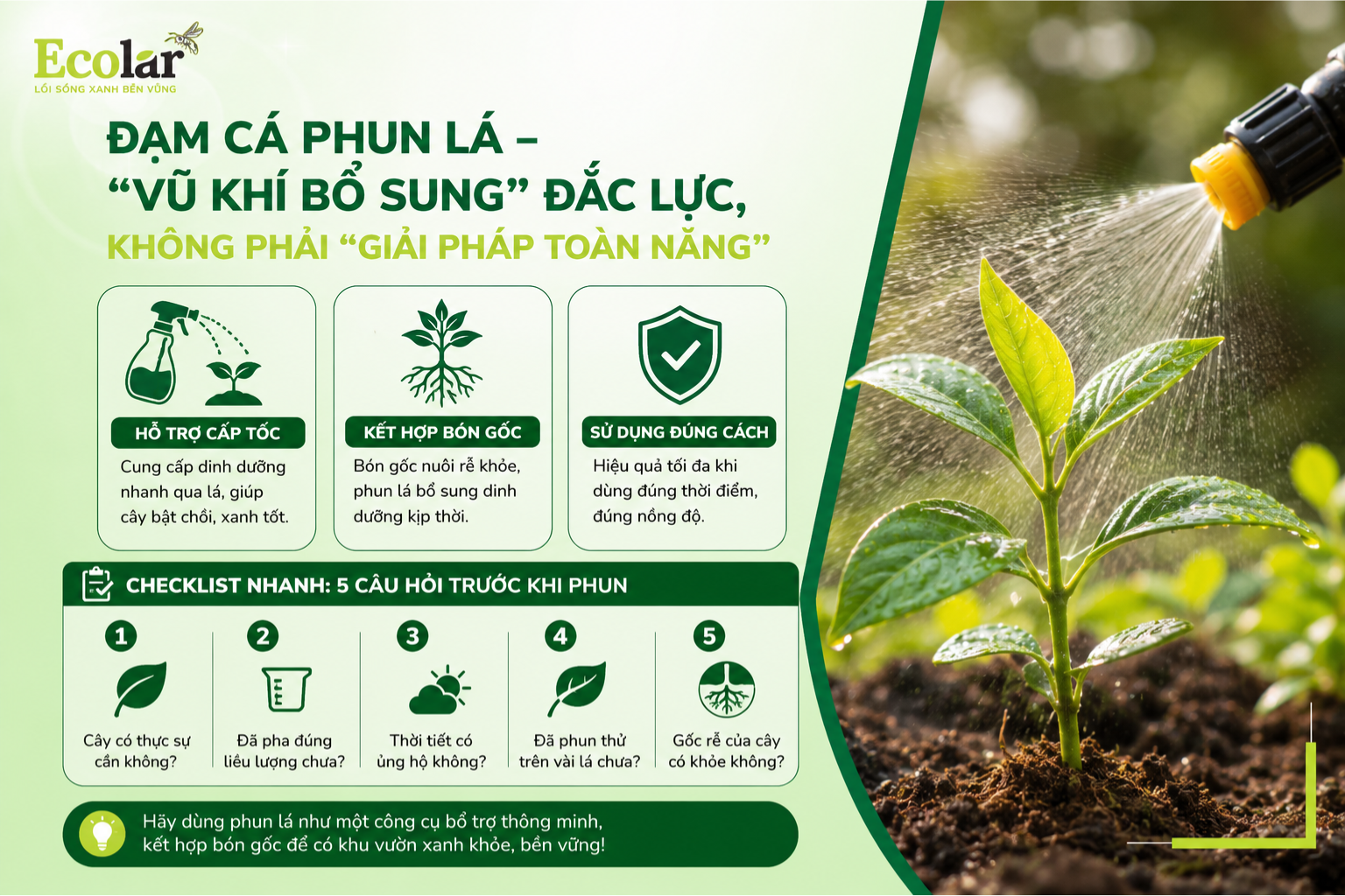 Kết Luận: Đạm Cá Phun Lá - 'Vũ Khí Bổ Sung' Đắc Lực, Không Phải 'Giải Pháp Toàn Năng'