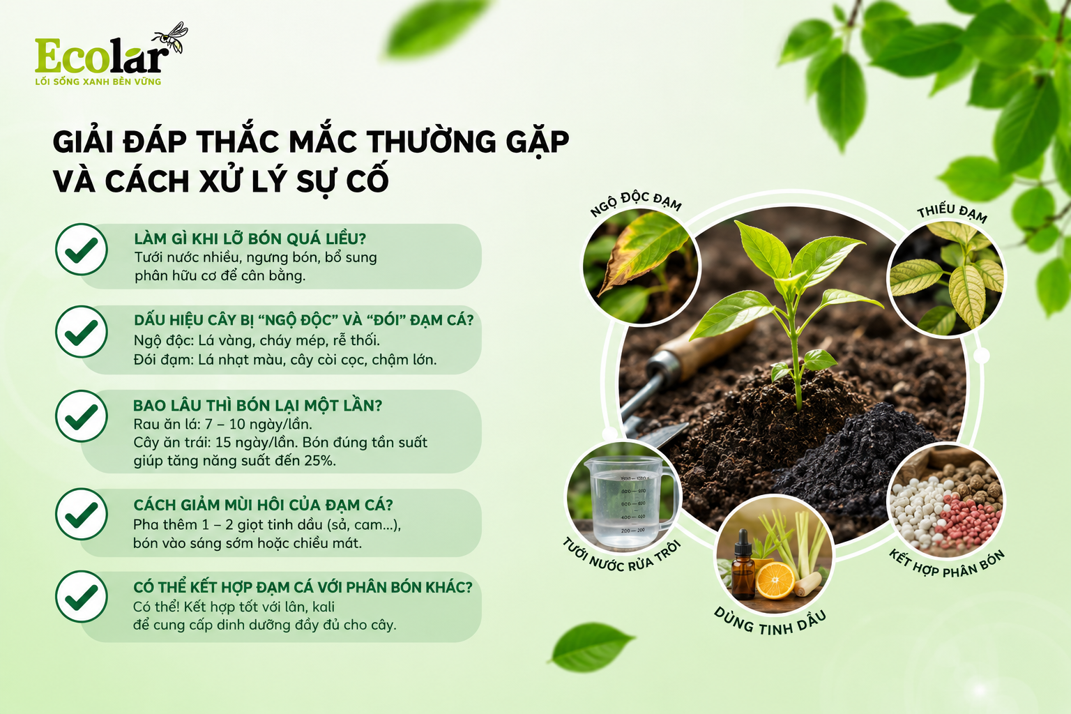 Giải Đáp Thắc Mắc Thường Gặp và Cách Xử Lý Sự Cố