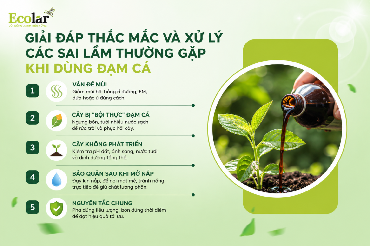 Giải Đáp Thắc Mắc và Xử Lý Các Sai Lầm Thường Gặp Khi Dùng Đạm Cá