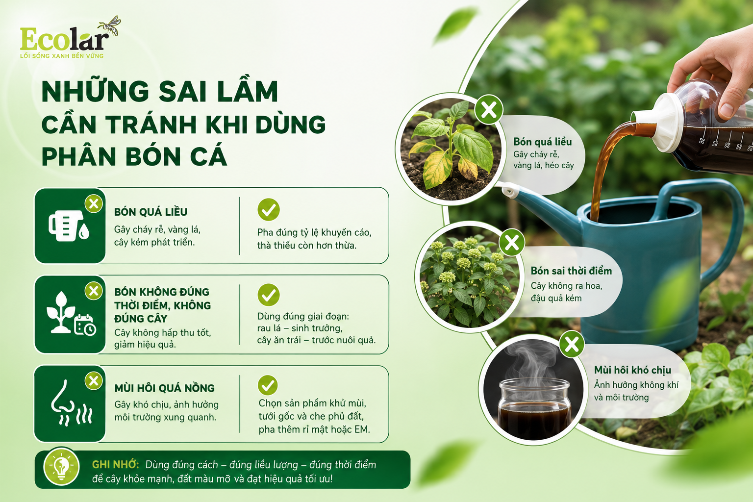 Những Sai Lầm Cần Tránh Khi Dùng Phân Bón Cá