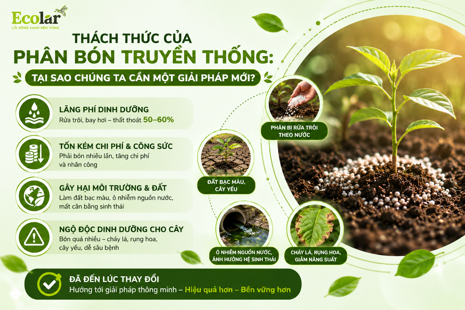 Thách Thức Của Phân Bón Truyền Thống: Tại Sao Chúng Ta Cần Một Giải Pháp Mới?