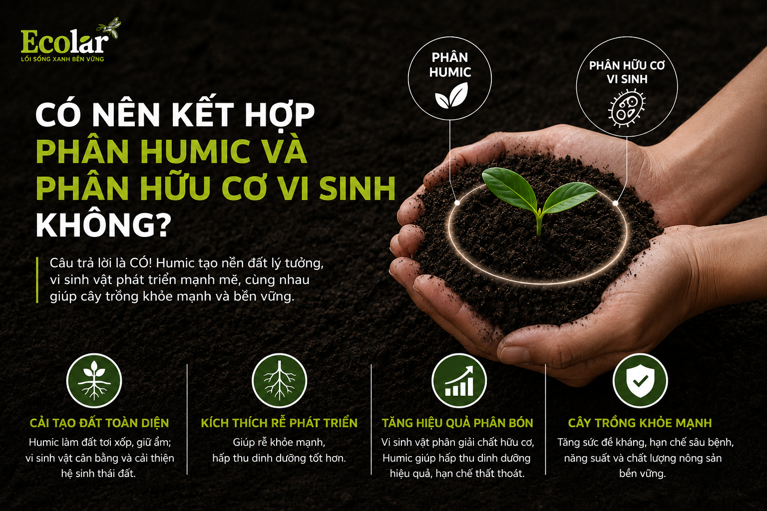 Có nên kết hợp Phân Humic và Phân Hữu Cơ Vi Sinh không?