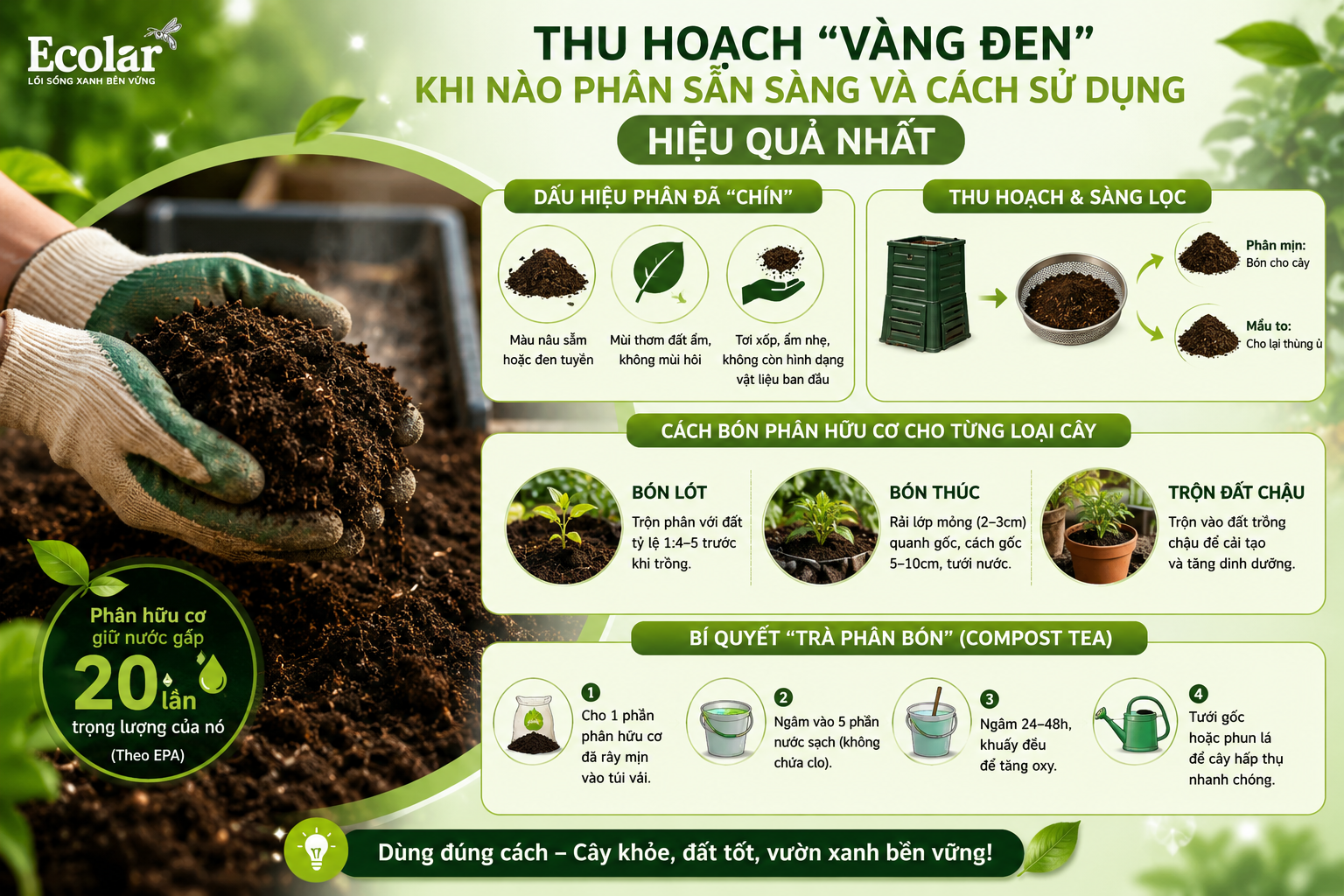 Thu Hoạch 'Vàng Đen': Khi Nào Phân Sẵn Sàng và Cách Sử Dụng Hiệu Quả Nhất