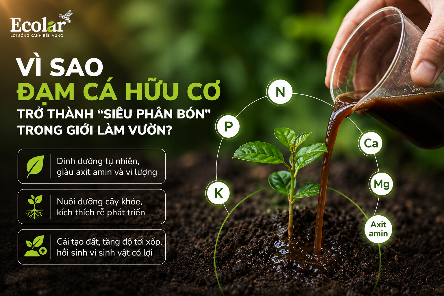 Mở Đầu: Tại Sao Đạm Cá Hữu Cơ Trở Thành 'Siêu Phân Bón' Trong Giới Làm Vườn?