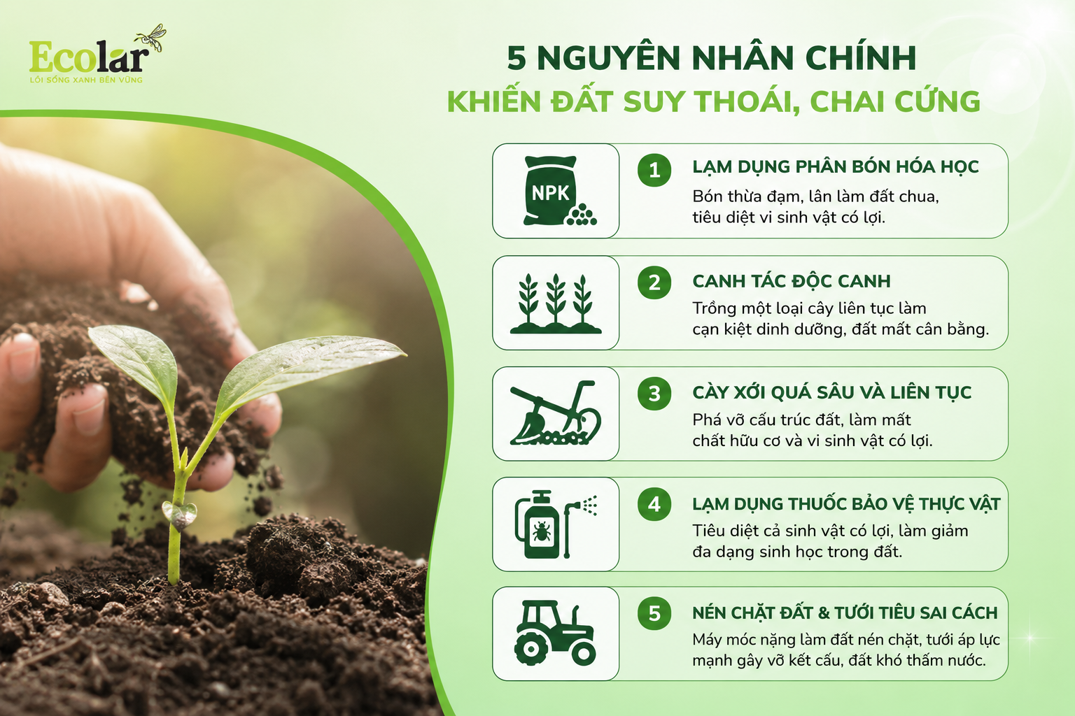 Dấu Hiệu 'Báo Động Đỏ': Khi Nào Đất Của Bạn Thực Sự Đang Suy Thoái?