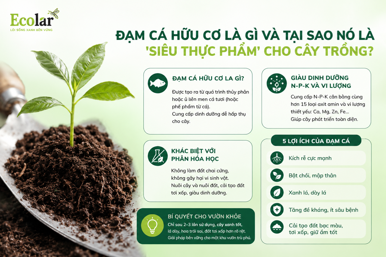 Đạm Cá Hữu Cơ Là Gì và Tại Sao Nó Là 'Siêu Thực Phẩm' Cho Cây Trồng?