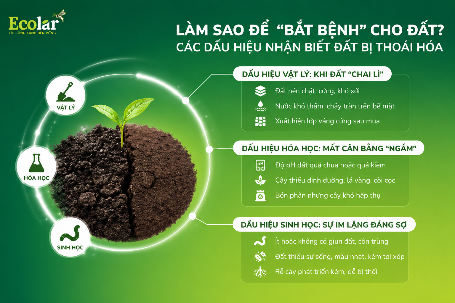 Làm Sao Để 'Bắt Bệnh' Cho Đất? Các Dấu Hiệu Nhận Biết Đất Bị Thoái Hóa