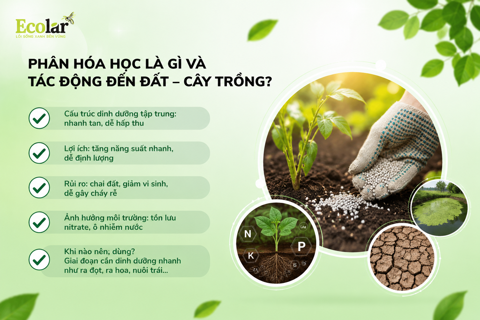 Phân Hóa Học Là Gì Và Tác Động Đến Đất – Cây Trồng?