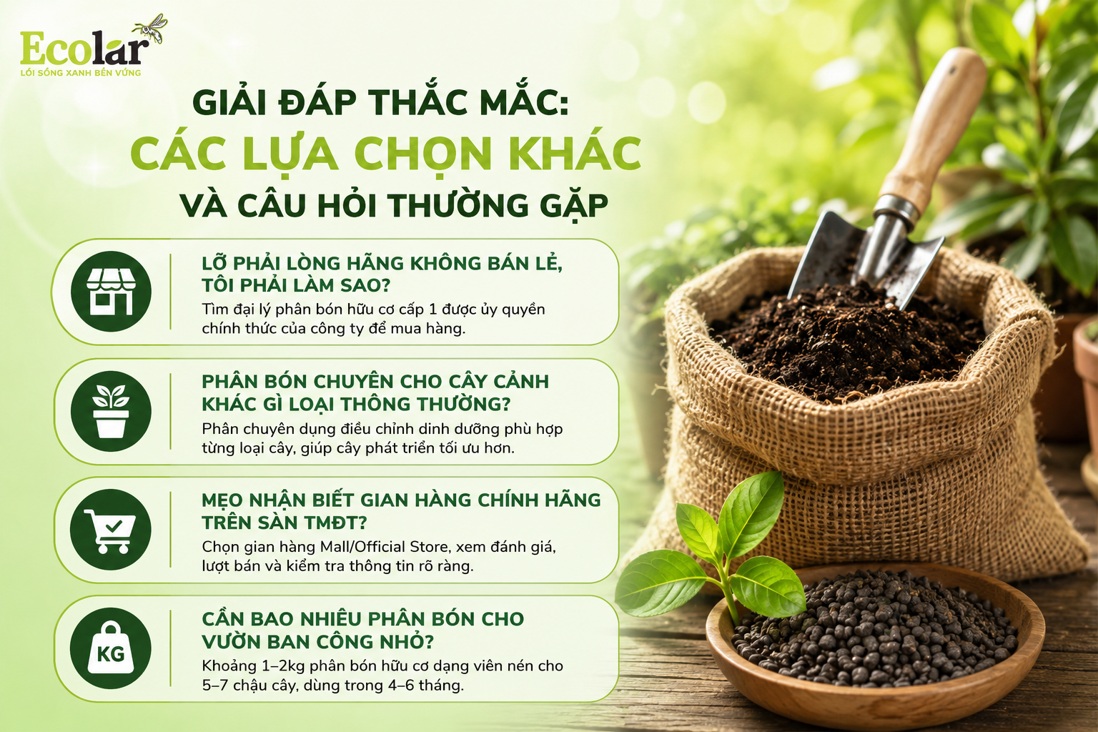 Giải Đáp Thắc Mắc: Các Lựa Chọn Khác và Câu Hỏi Thường Gặp