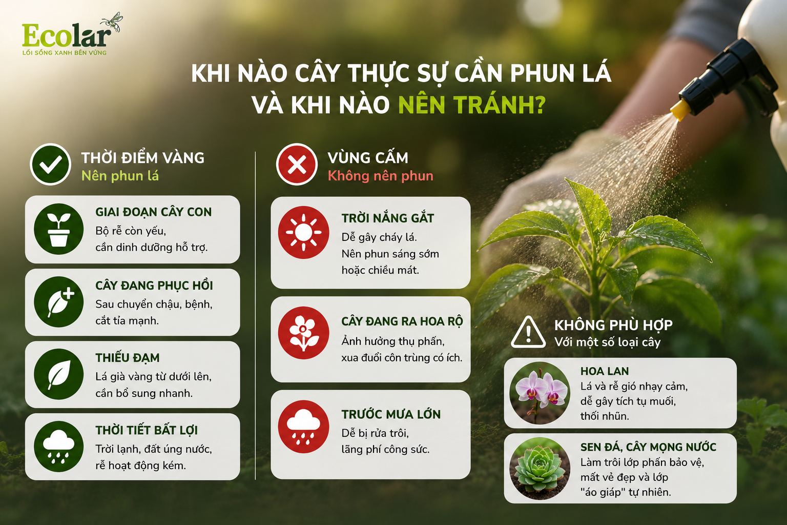 Khi Nào Cây Thực Sự Cần Phun Lá và Khi Nào Nên Tránh?