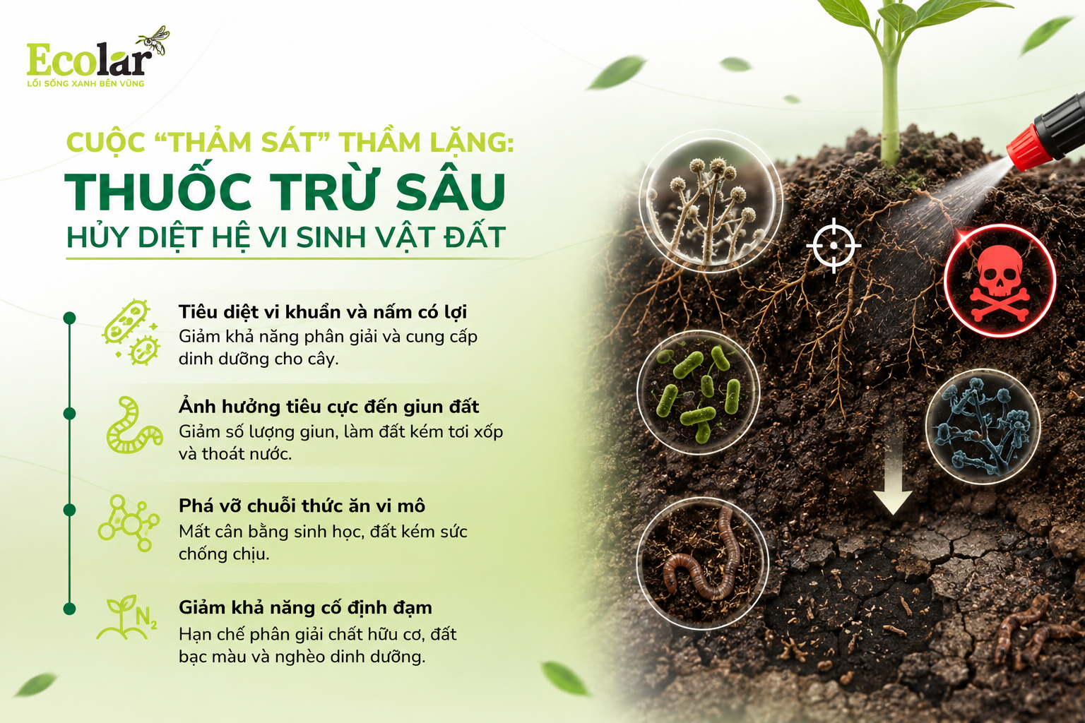 Cuộc 'Thảm Sát' Thầm Lặng: Thuốc Trừ Sâu Hủy Diệt Hệ Vi Sinh Vật Đất