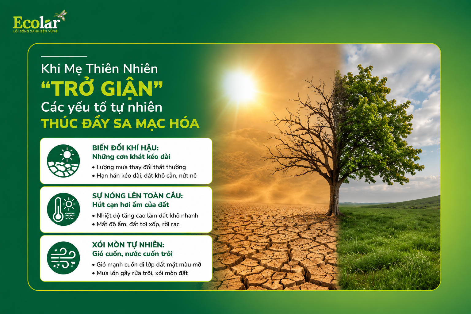 Phần 3: Khi Mẹ Thiên Nhiên 'Trở Giận' - Các Yếu Tố Tự Nhiên Thúc Đẩy Sa Mạc Hóa