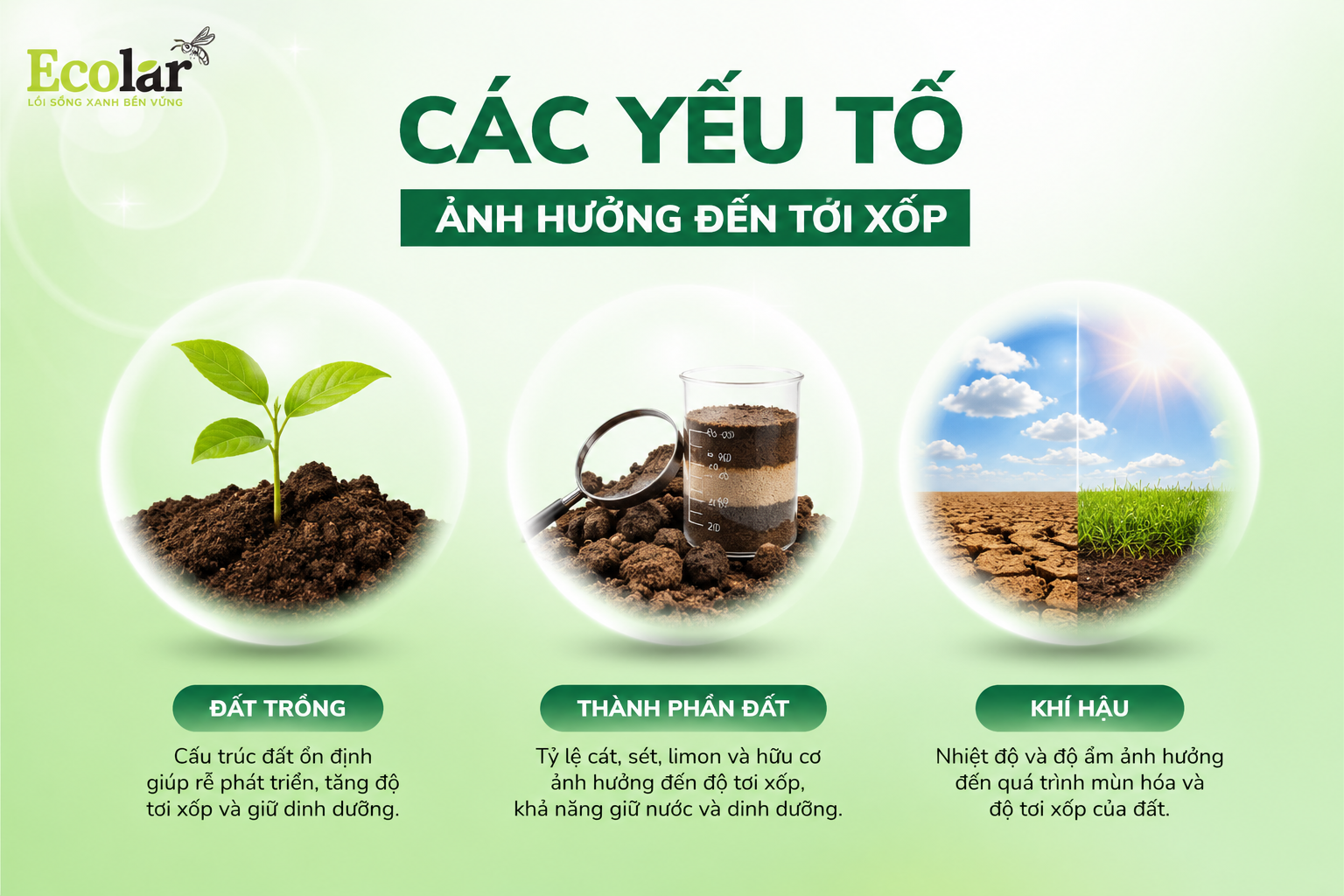 Các Yếu Tố Ảnh Hưởng Đến Tơi Xốp