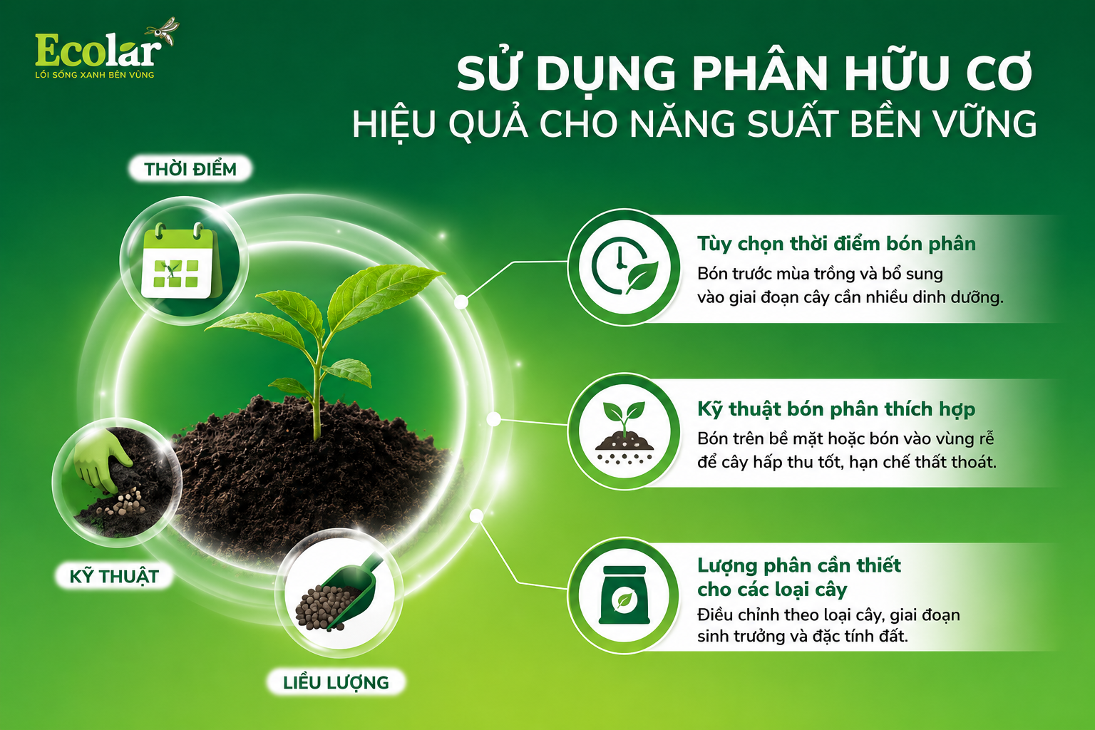 Cách Sử Dụng Phân Hữu Cơ Hiệu Quả