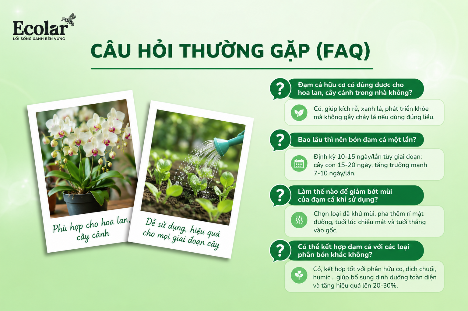 Câu Hỏi Thường Gặp (FAQ)