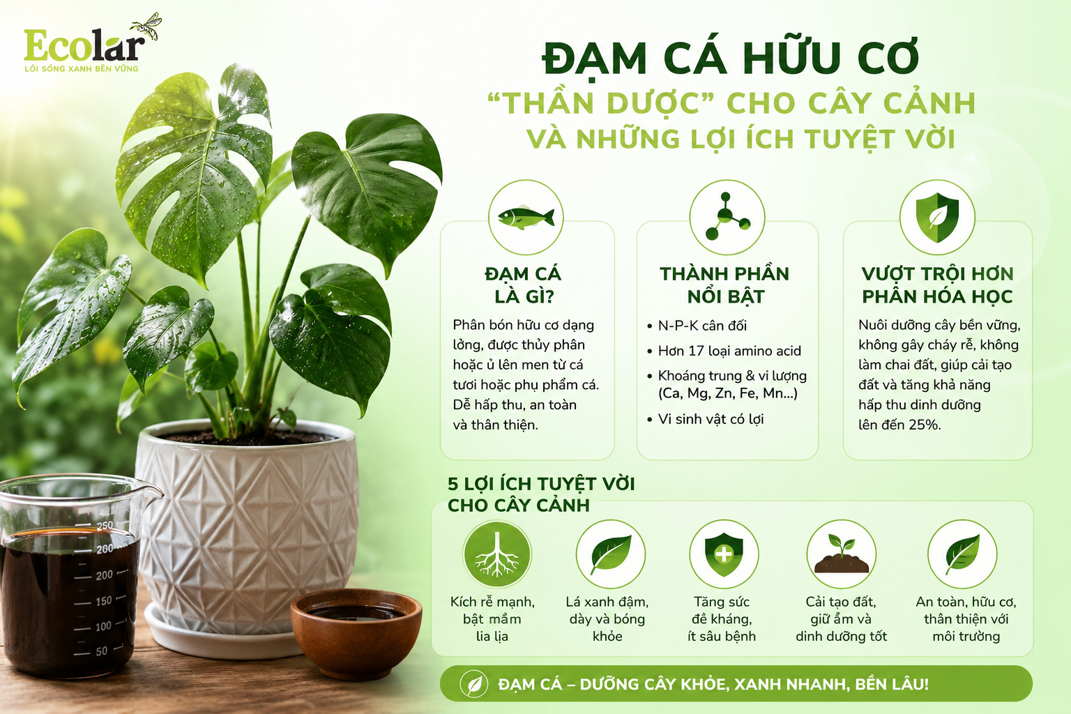 Đạm Cá Hữu Cơ: 'Thần Dược' Cho Vườn Cây Cảnh Xanh Tốt Có Thật Sự Hiệu Quả?