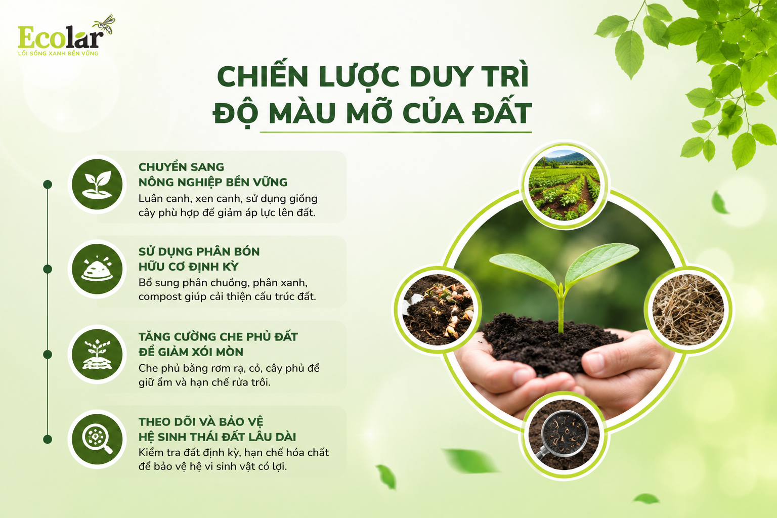 Chiến Lược Duy Trì Độ Màu Mỡ Của Đất