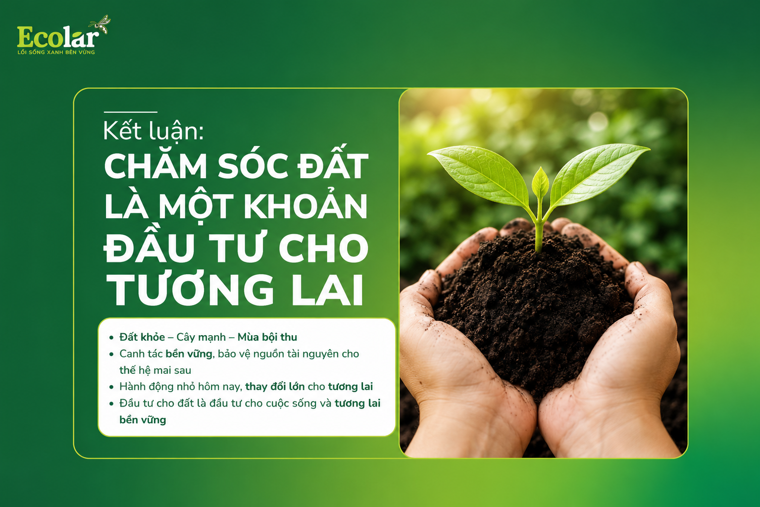 Kết Luận: Chăm Sóc Đất Là Một Khoản Đầu Tư Cho Tương Lai
