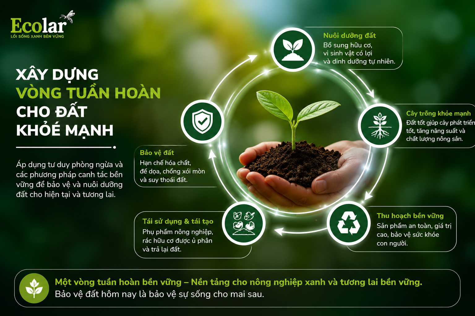 Từ Phục Hồi Đến Bảo Vệ: Xây Dựng Vòng Tuần Hoàn Cho Đất Khỏe Mạnh