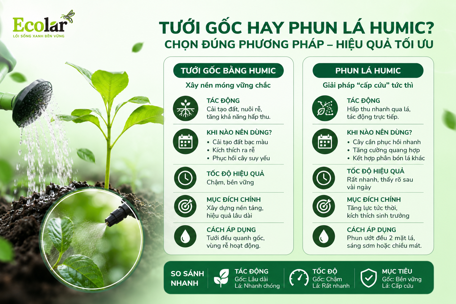 Bước 1: Công Thức Pha Chế 'Tỷ Lệ Vàng' Cho Từng Dạng Phân Humic