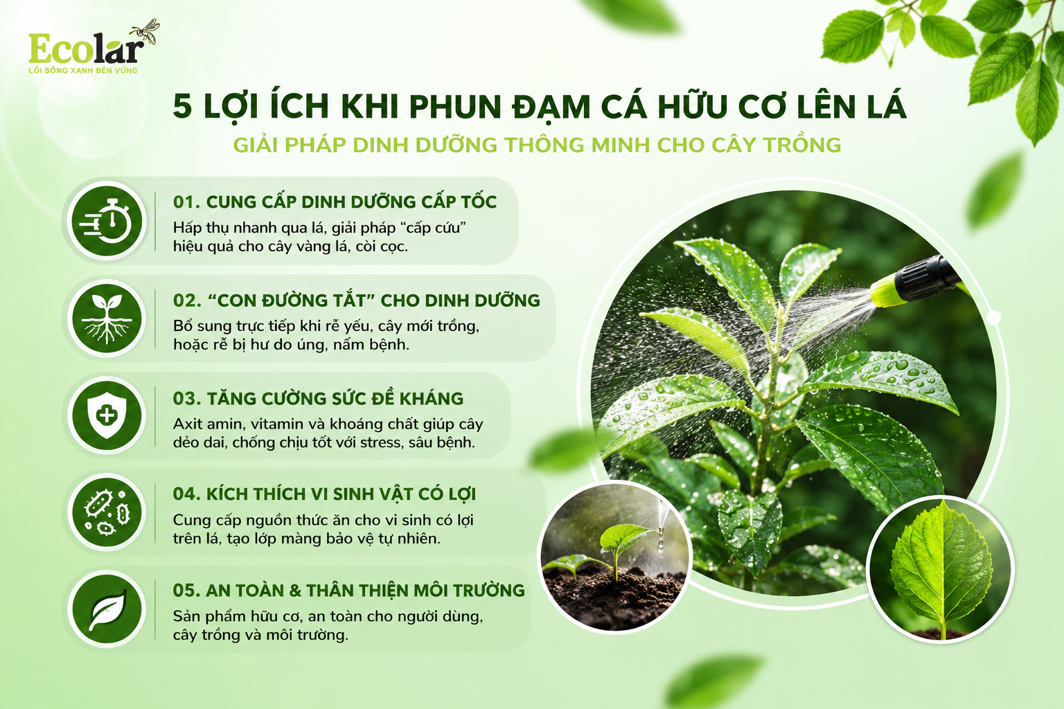 Giải Đáp Nhanh: Có Nên Phun Phân Bón Lá Bằng Đạm Cá Không?