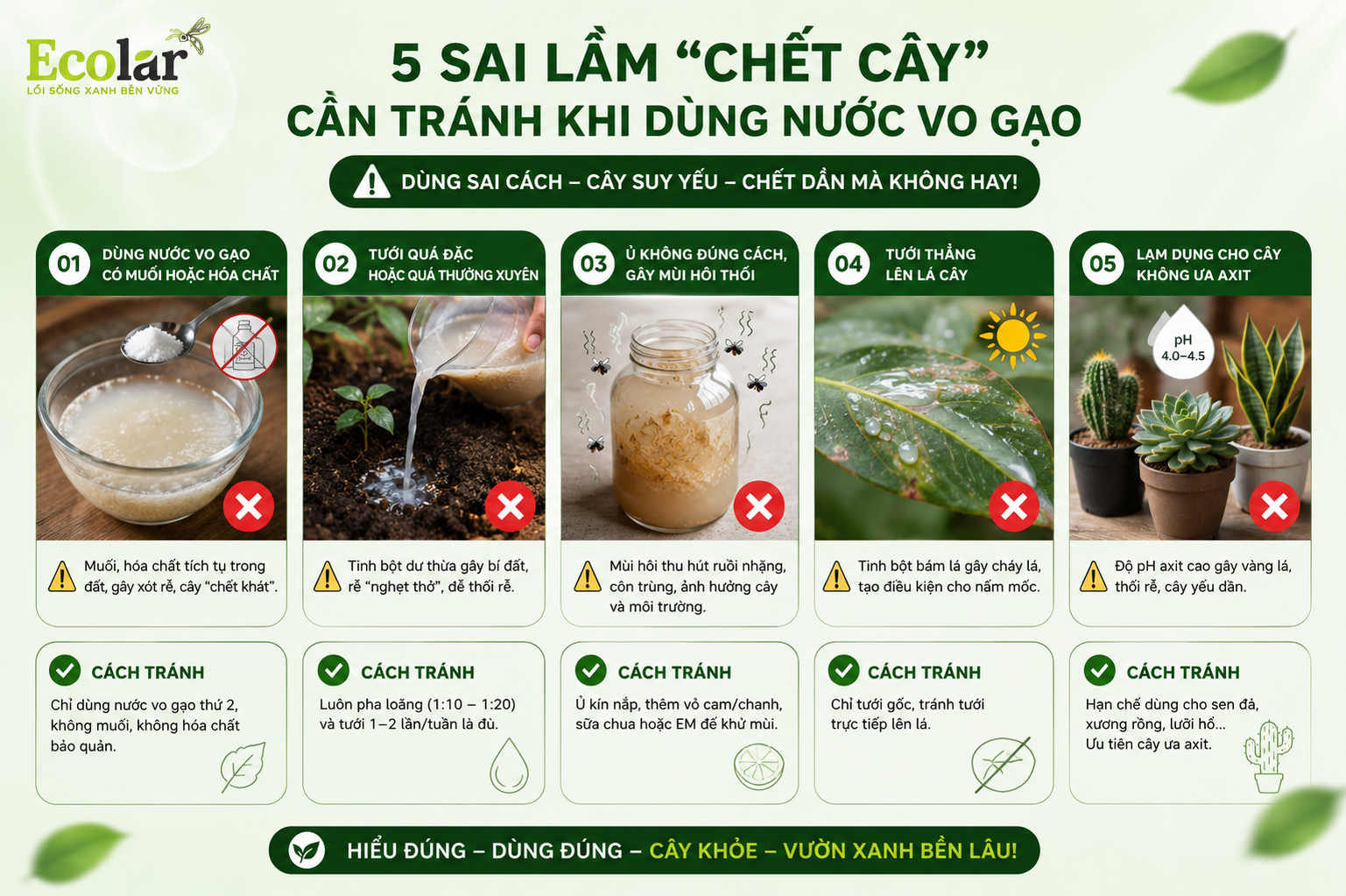 Cảnh Báo: 5 Sai Lầm 